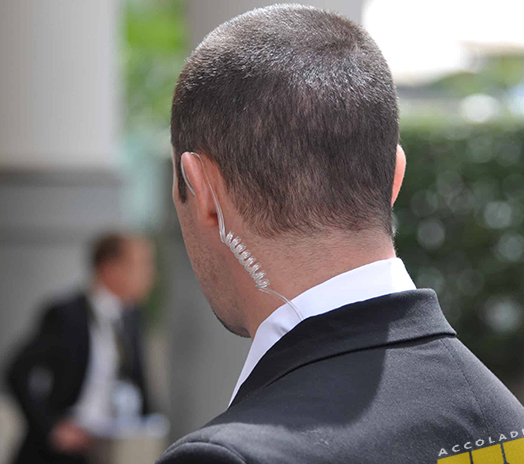 VIP Close Protection Services