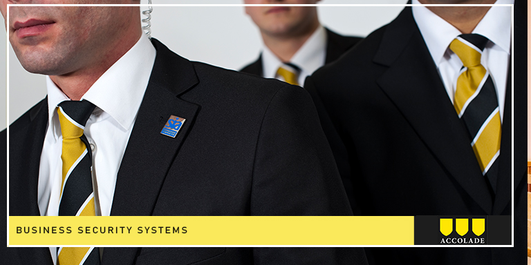business security systems